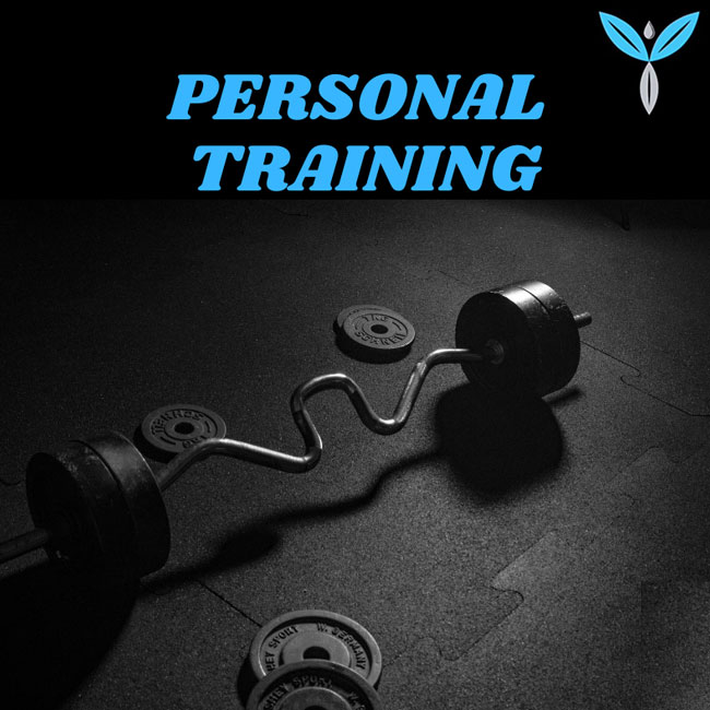 Our fitness programs include 1:1 training. We'll will work closely with you to help you achieve your goals.